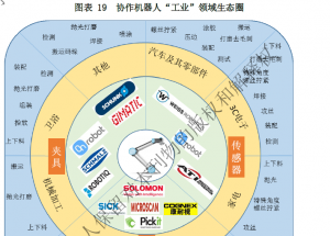 显扬科技亮相央视直播间