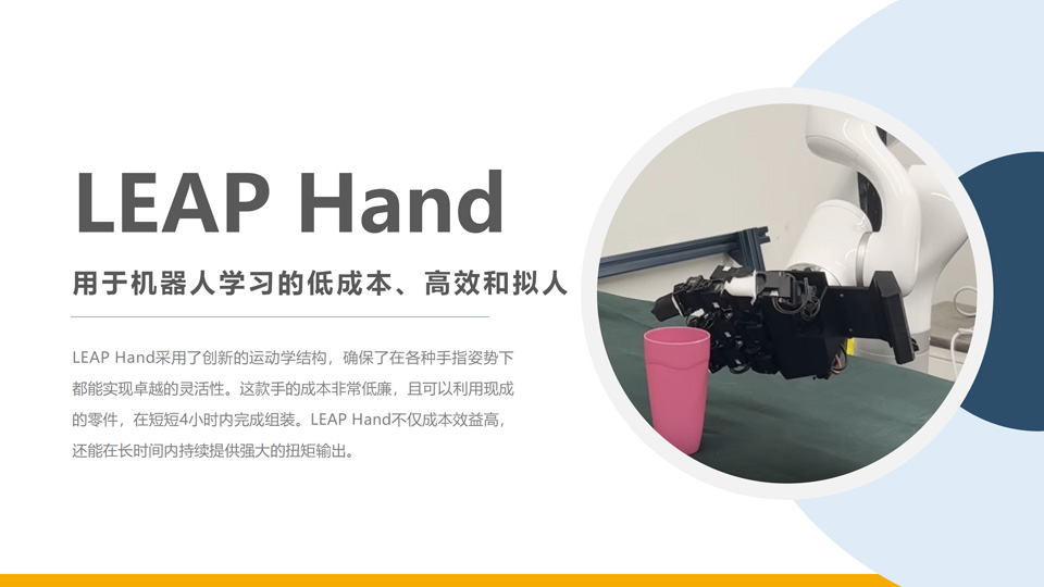 LeapHand